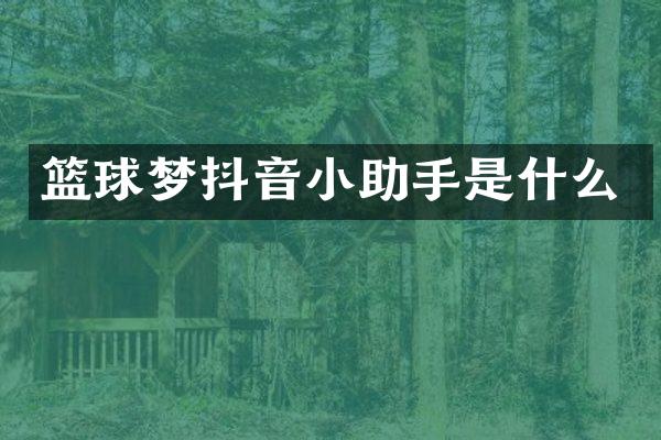 篮球梦抖音小助手是什么