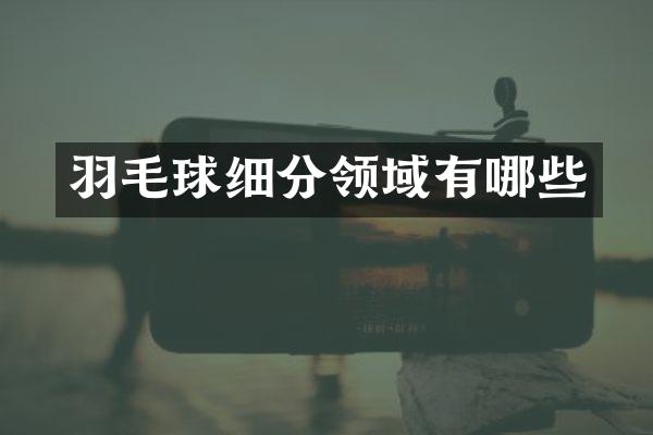 羽毛球细分领域有哪些
