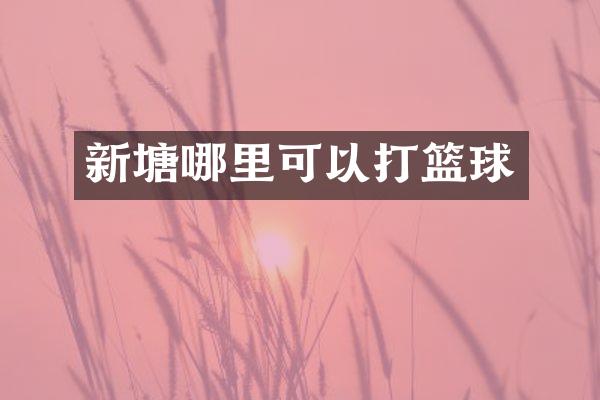 新塘哪里可以打篮球