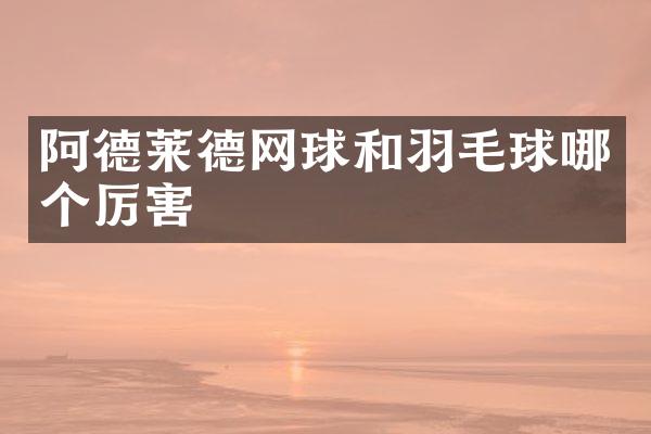 阿德莱德网球和羽毛球哪个厉害