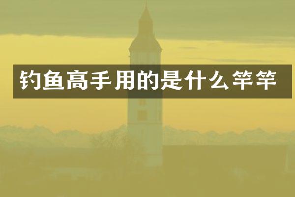 钓鱼高手用的是什么竿竿