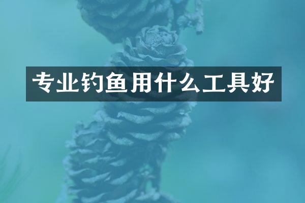 专业钓鱼用什么工具好