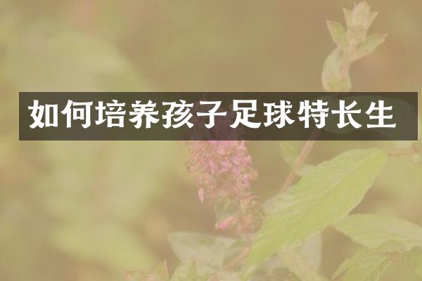 如何培养孩子足球特长生