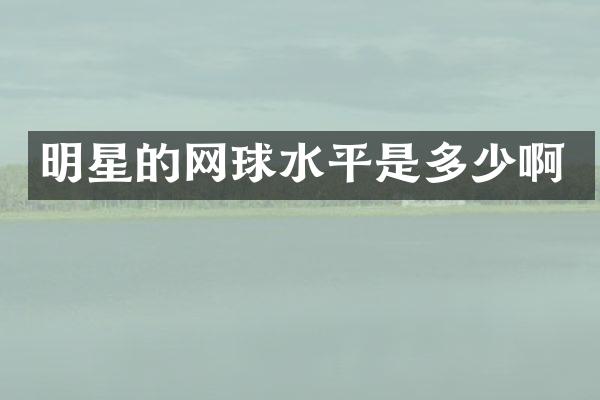 明星的网球水平是多少啊