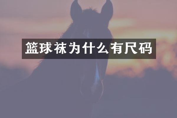 篮球袜为什么有尺码