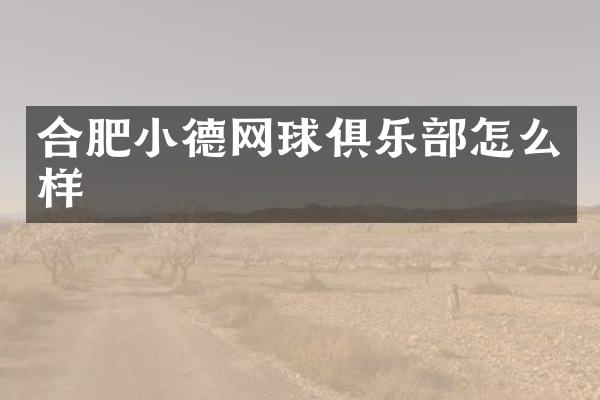 合肥小德网球俱乐部怎么样