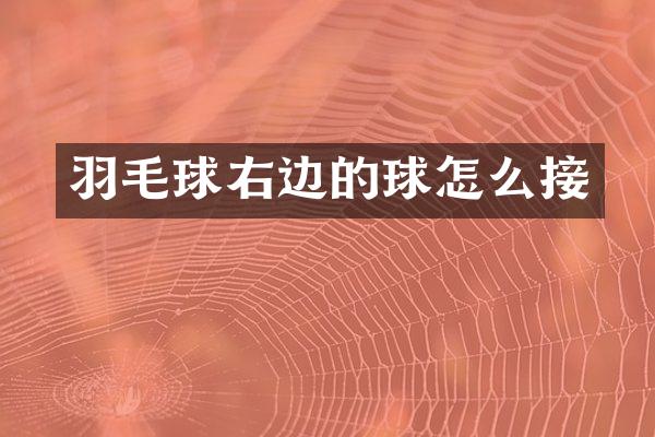 羽毛球右边的球怎么接