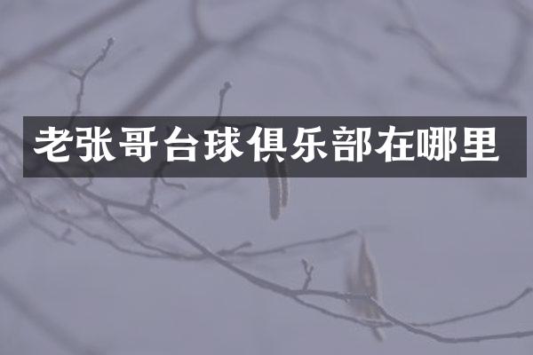 老张哥台球俱乐部在哪里