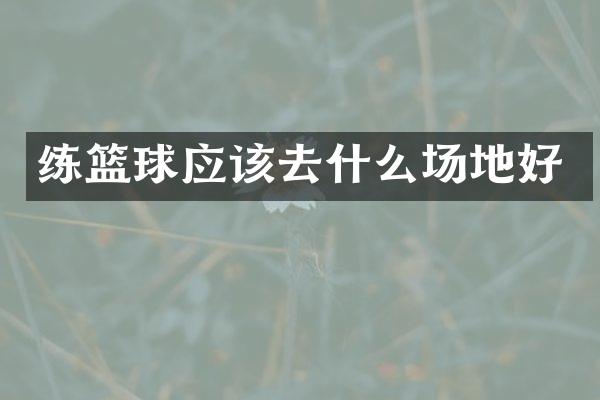 练篮球应该去什么场地好