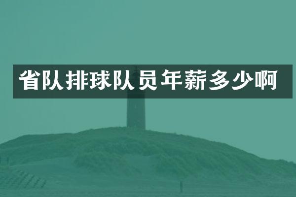 省队排球队员年薪多少啊