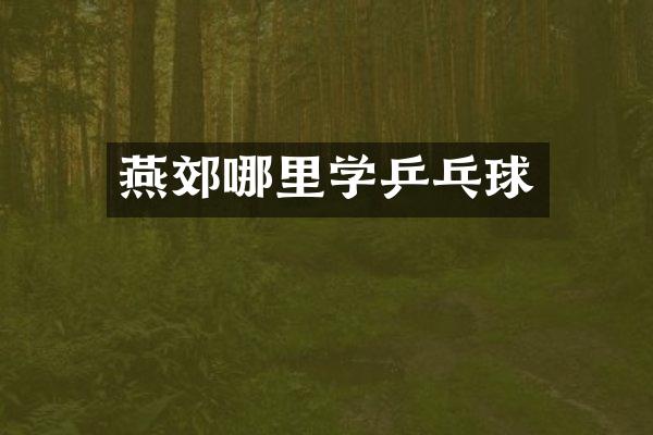 燕郊哪里学乒乓球