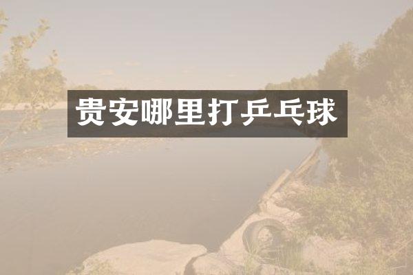 贵安哪里打乒乓球