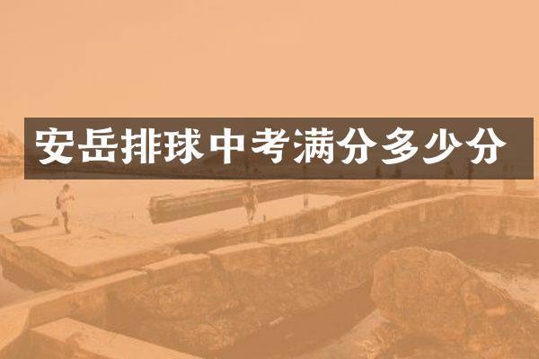 安岳排球中考满分多少分