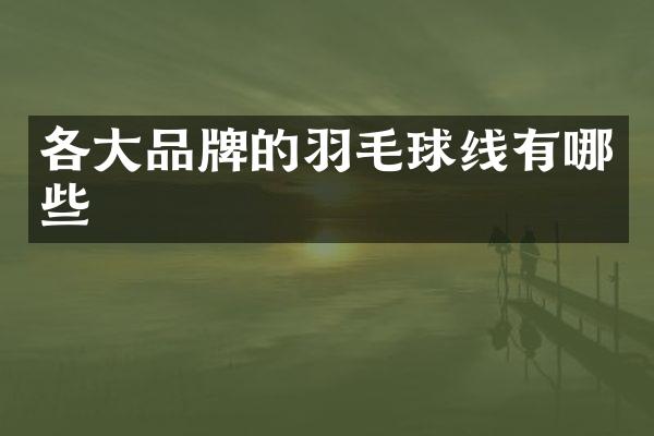 各大品牌的羽毛球线有哪些