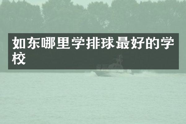 如东哪里学排球最好的学校