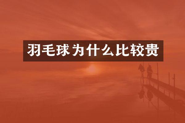 羽毛球为什么比较贵