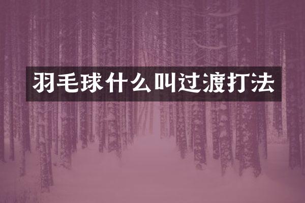 羽毛球什么叫过渡打法