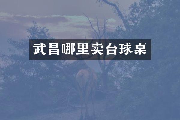 武昌哪里卖台球桌