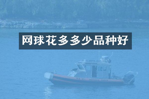 网球花多多少品种好