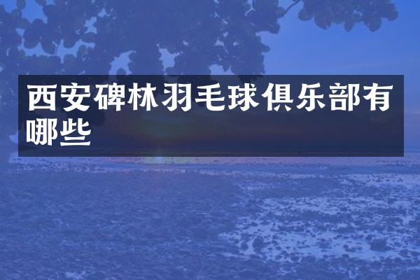 西安碑林羽毛球俱乐部有哪些