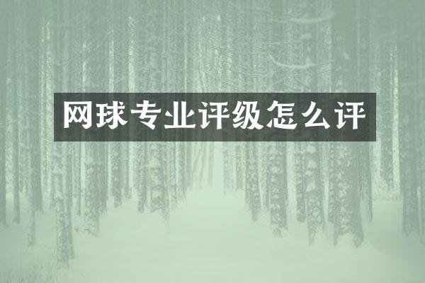 网球专业评级怎么评