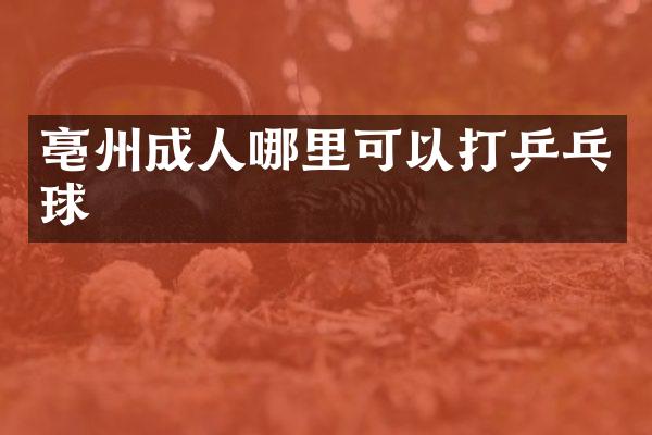 亳州成人哪里可以打乒乓球
