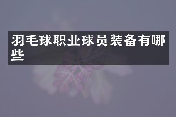 羽毛球职业球员装备有哪些