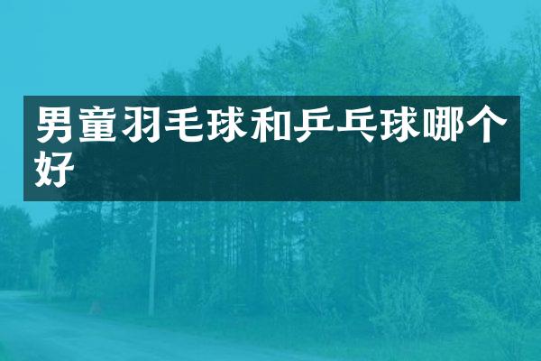 男童羽毛球和乒乓球哪个好