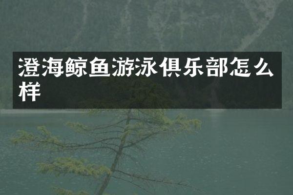 澄海鲸鱼游泳俱乐部怎么样