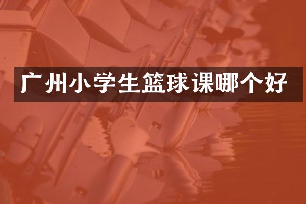 广州小学生篮球课哪个好