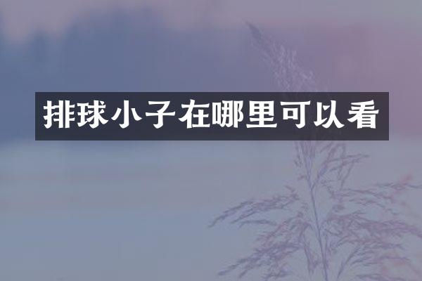 排球小子在哪里可以看