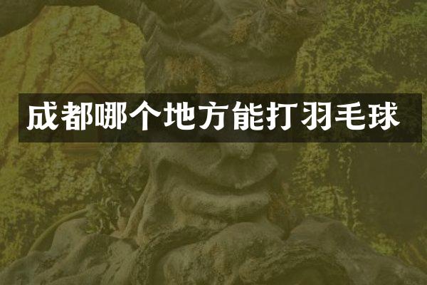 成都哪个地方能打羽毛球