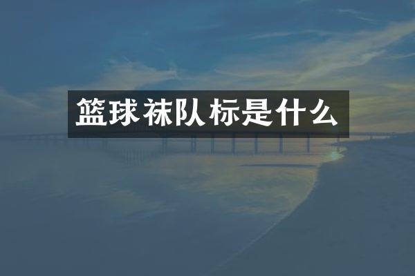 篮球袜队标是什么