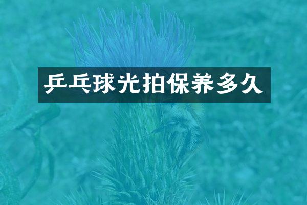 乒乓球光拍保养多久