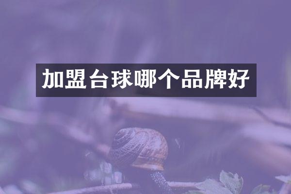 加盟台球哪个品牌好