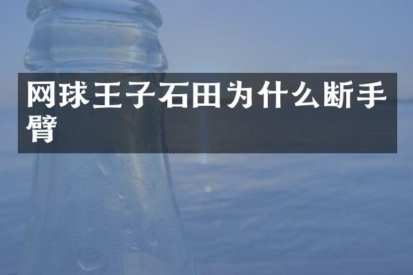 网球王子石田为什么断手臂