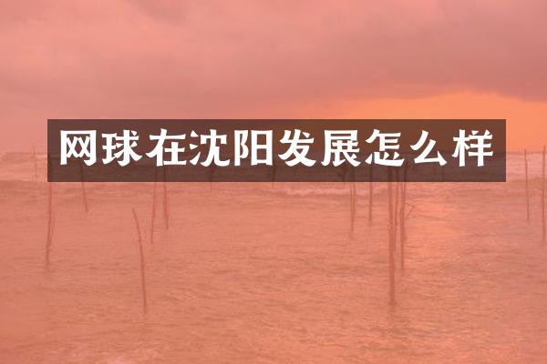 网球在沈阳发展怎么样