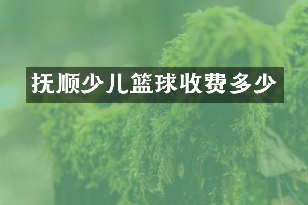 抚顺少儿篮球收费多少