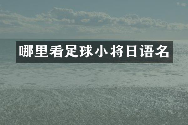 哪里看足球小将日语名