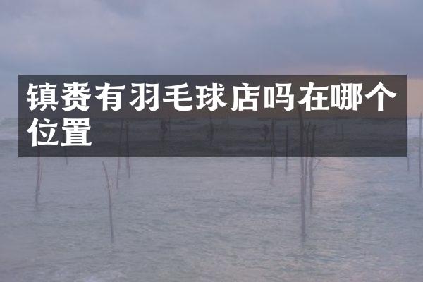 镇赉有羽毛球店吗在哪个位置