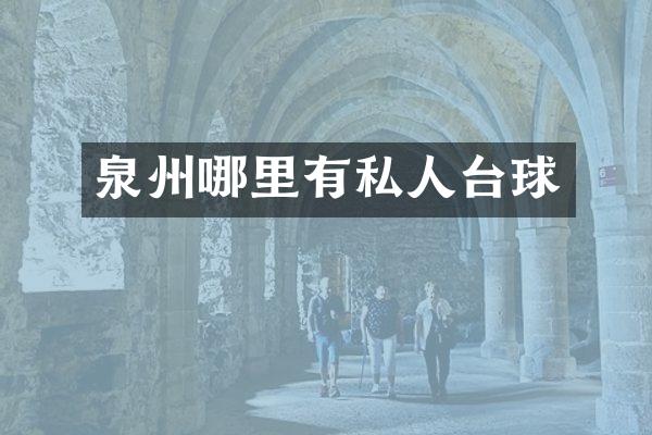 泉州哪里有私人台球