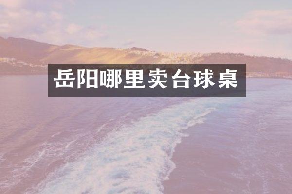 岳阳哪里卖台球桌