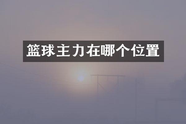 篮球主力在哪个位置