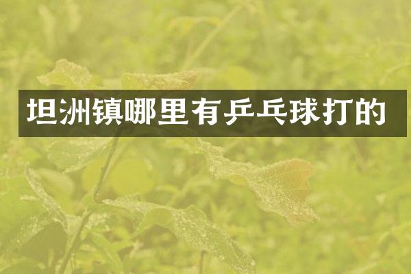 坦洲镇哪里有乒乓球打的