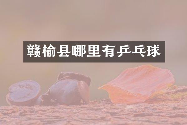 赣榆县哪里有乒乓球