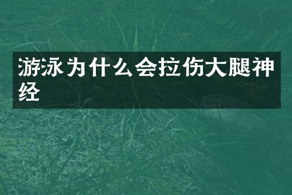 游泳为什么会拉伤大腿神经