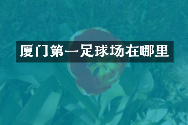 厦门第一足球场在哪里