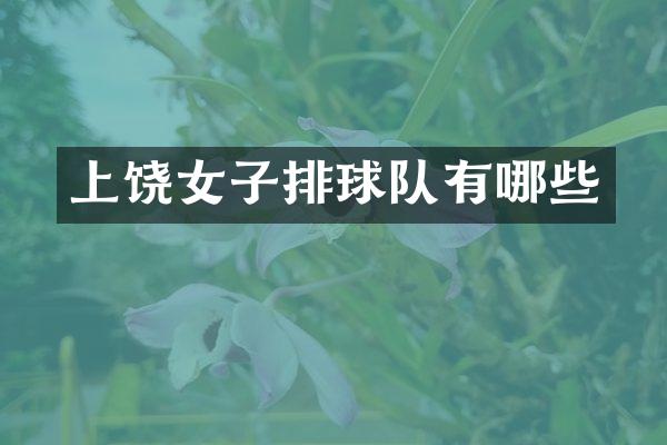 上饶女子排球队有哪些