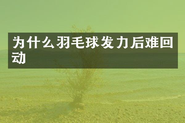为什么羽毛球发力后难回动