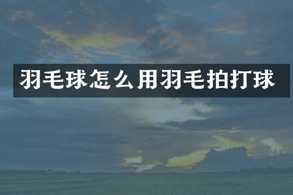 羽毛球怎么用羽毛拍打球